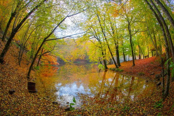 Autumn Forest Landscape Reflection Water Wooden Pier Autumn Landscape Seven — Photo