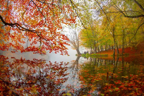 Herbstliche Waldlandschaft Spiegelung Auf Dem Wasser Mit Holzsteg Herbstlandschaft Yedigoller — Stockfoto