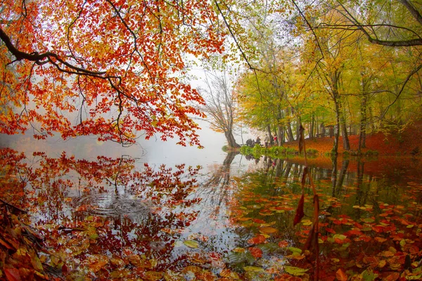 Jesienny Krajobraz Leśny Nad Wodą Drewnianym Molo Jesienny Krajobraz Siedem — Zdjęcie stockowe