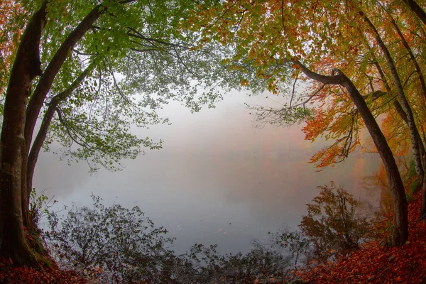 Autumn Forest Landscape Reflection Water Wooden Pier Autumn Landscape Seven — Stock Photo, Image
