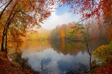Sonbahar orman manzarası ahşap iskeleli suya yansıyor - Yedigoller Park Bolu, Türkiye 'de sonbahar manzarası (yedi göl)