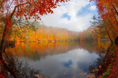 Sonbahar orman manzarası ahşap iskeleli suya yansıyor - Yedigoller Park Bolu, Türkiye 'de sonbahar manzarası (yedi göl)