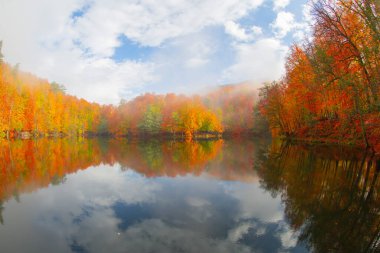 Sonbahar orman manzarası ahşap iskeleli suya yansıyor - Yedigoller Park Bolu, Türkiye 'de sonbahar manzarası (yedi göl)