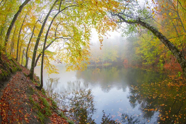 Autumn Forest Landscape Reflection Water Wooden Pier Autumn Landscape Seven — Fotografia de Stock