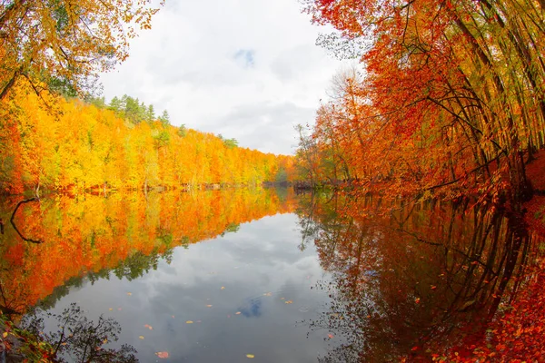 Autumn Forest Landscape Reflection Water Wooden Pier Autumn Landscape Seven — Stockfoto