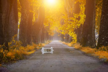 Tüneller ve toprak yollar ağaçlar tarafından yapılır. Bursa Dudakli