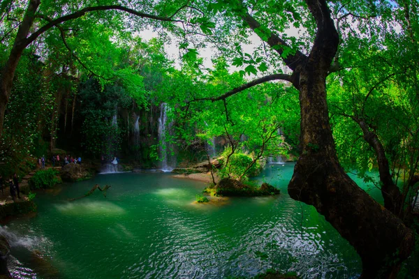 Uma Foto Olhando Através Dos Três Para Cachoeira Tranquila Kursunlu — Fotografia de Stock