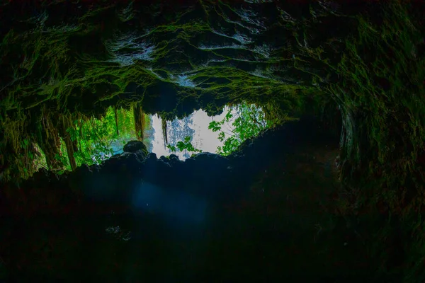 杜登瀑布安塔利亚土耳其 夏日野性 绿树成荫 达顿瀑布全景 户外森林瀑布 土耳其的自然景观 瀑布森林的性质 安塔利亚自然公园 — 图库照片