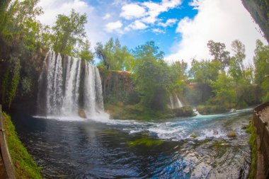 Duden şelalesi Antalya hindisi. Yeşil ağaçlı vahşi yaz. Duden Şelalesi 'nde panoramik manzara. Açık hava şelalesi. Hindi doğa manzarası. Şelale ormanı doğası. Antalya Doğal Parkı