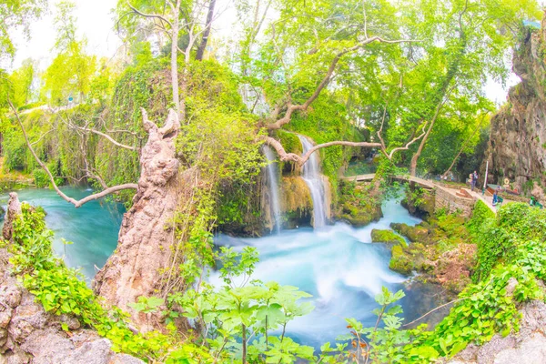 Duden Şelalesi Antalya Hindisi Yeşil Ağaçlı Vahşi Yaz Duden Şelalesi — Stok fotoğraf