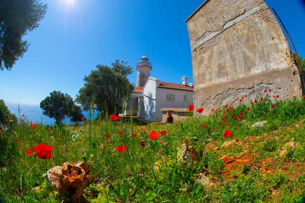 Gelidonya lighthouse, just like a hidden paradise located between Adrasan and Kumluca, is one of the locations where green and blue suit each other the most on the Lycian way for hikers and trekkers.