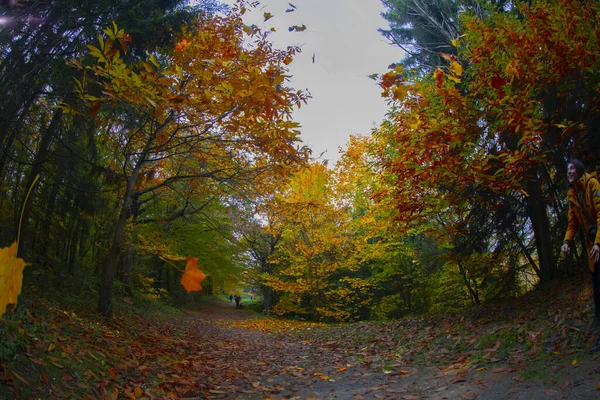 Ataturk Arboretum Στην Περιοχή Sariyer Της Κωνσταντινούπολης — Φωτογραφία Αρχείου