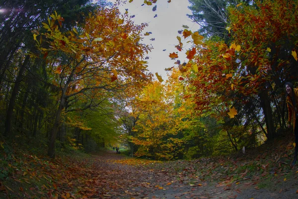 Ataturk Arboretum Het District Sariyer Istanbul — Stockfoto