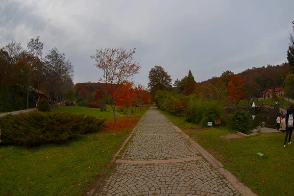 Ataturk Arboretum Okrese Sariyer Istanbulu — Stock fotografie
