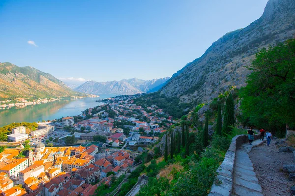 Historické Kotor Staré Město Kotorský Záliv Jaderského Moře Balkánské Hory — Stock fotografie