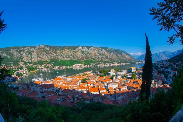 Casco Antiguo Kotor Bahía Kotor Del Mar Adriático Montañas Balcánicas —  Fotos de Stock