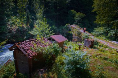 Kakar Dağları Ulusal Park / Rize - Türkiye
