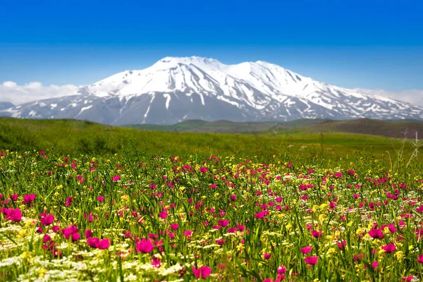 Ararat Dağı (Türkiye) 5.137 metrede görüldü. Bu kar kaplı, pasif bileşik volkan, İncil 'de Nuh' un Gemisi 'nin dinlenme yeri olarak tanımlanan iki büyük volkanik koniden oluşuyordu..