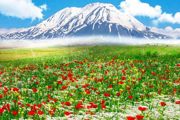 Monte Ararat Turquía Fue Visto 137 Este Volcán Compuesto Cubierto — Foto de Stock