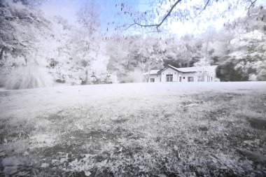 Atatrk botanik bahçesi