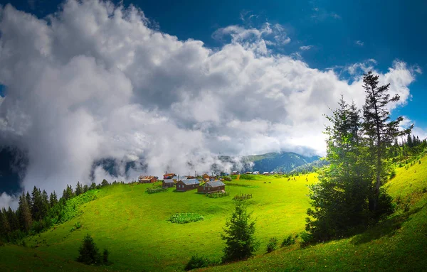 Türkiye Nin Rize Ilinde Sisli Günde Badara Platosu Manzarası — Stok fotoğraf