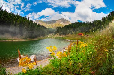 Savsat 'ta arka planda Balık Gölü (Balikgol) bahar dağı