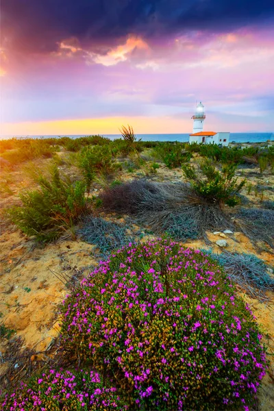Polente Lighthouse is located at the westernmost edge of Bozcaada and was built in 1861. Polente light is 32 meters high and can send its light up to 15 nautical miles or 28 kilometers.