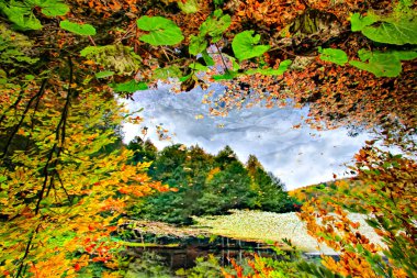 Sonbaharda manzara parkı. Güneşli bir günde sonbahar manzarası. İnsanlar güneşli havada parkta geziniyorlar. Renkli ağaçlar sonbahar mevsiminin güzelliğini gösterir. Botanik Parkı, Bursa, Türkiye.