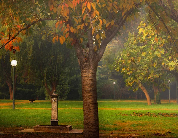 Park landscape in autumn. Autumn landscape on a sunny day. People strolling in the park in sunny weather. colorful trees show the beauty of the autumn season. Botanical park, Bursa, Turkey.