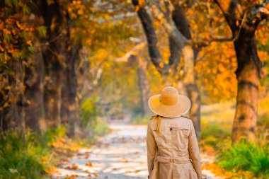 Ağaçlarla çevrili manzaralı bir yol.