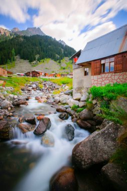 Elevit Yaylası (Çamlıhemşin / Rize / Türkiye)