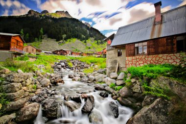 Elevit Yaylası (Çamlıhemşin / Rize / Türkiye)
