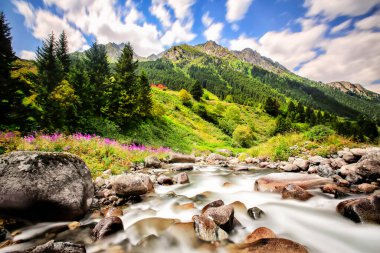 Elevit Yaylası (Çamlıhemşin / Rize / Türkiye)