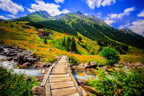 Elevit Yaylası (Çamlıhemşin / Rize / Türkiye)