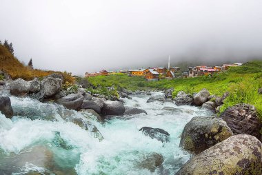 Elevit Yaylası (Çamlıhemşin / Rize / Türkiye)