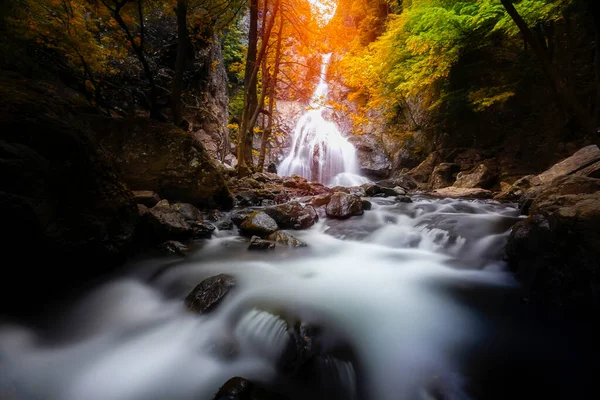 Autumn Colors Stunning Waterfall Scenery Nature Landscape Depths Forest Autumn — Foto Stock