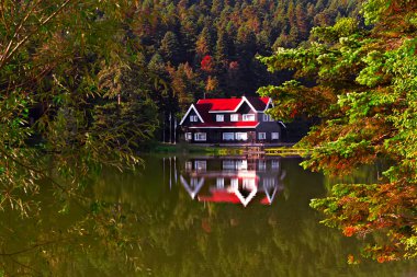 Golcuk lake in Bolu Golcuk Nature Park. Forest and lake view. Travel to Turkey background photo. Bolu