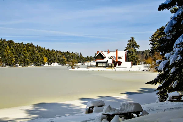 Golcuk Lake Bolu Golcuk Nature Park Forest Lake View Travel — Foto de Stock