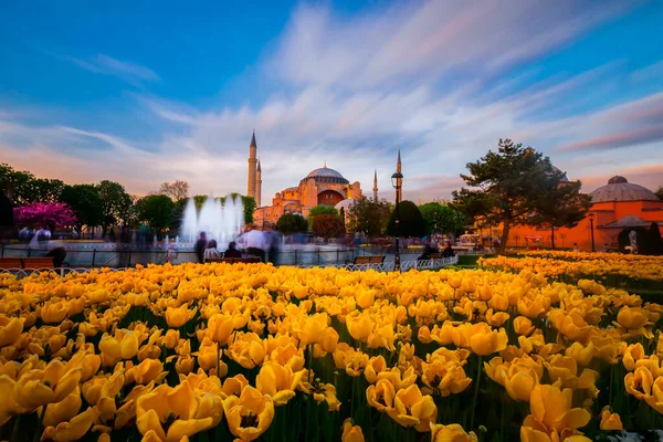 Schöne Aussicht Auf Die Hagia Sophia Istanbul Türkei — Stockfoto