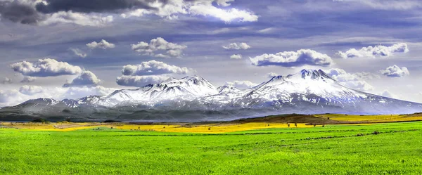 Montanha Vulcânica Hasan Primeiro Plano Campo Flores Papoula Aksaray Turquia — Fotografia de Stock