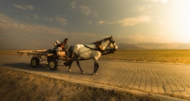 Vahşi atlar gün batımında sisli koşarlar. Hormetci Köyü yakınlarında, Kapadokya ile Kayseri arasında, Türkiye
