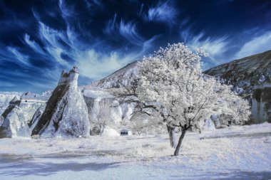 Excellent Infrared landscape photos from various countries .