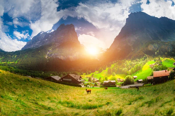 Los Paisajes Más Bellos Suiza Los Alpes — Foto de Stock