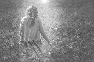 Çeşitli mükemmel makro çiçek fotoğrafları.