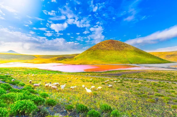 Meke Crater Lake Crystallized Pink Salt Konya Turkey — Fotografia de Stock