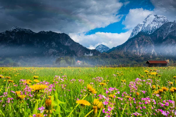 Hermosa Vista Del Mundialmente Famoso Castillo Neuschwanstein Palacio Del Renacimiento — Foto de Stock