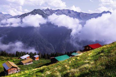 SAL Platosu. Bu plato, Rize 'nin Camlihemsin ilçesinde yer almaktadır. Kackar Dağları bölgesi. Rize, Türkiye.