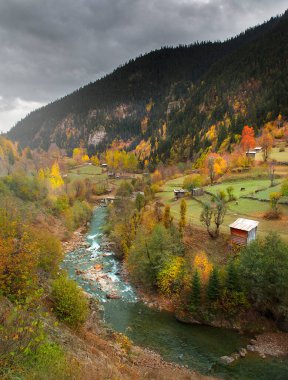 Artvin avat Bölgesi 21-23 Haziran tarihleri arasında Milano 'da düzenlenen törenle 