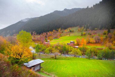 Artvin avat Bölgesi 21-23 Haziran tarihleri arasında Milano 'da düzenlenen törenle 