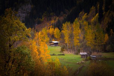Artvin avat Bölgesi 21-23 Haziran tarihleri arasında Milano 'da düzenlenen törenle 